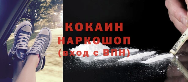 стаф Горняк