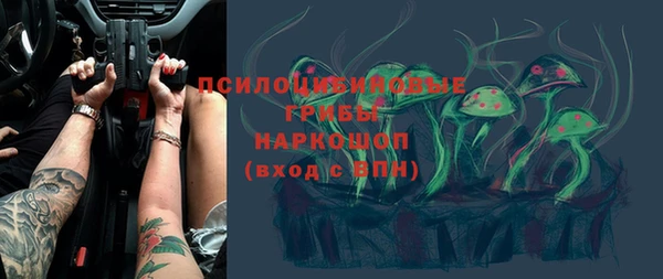 стаф Горняк
