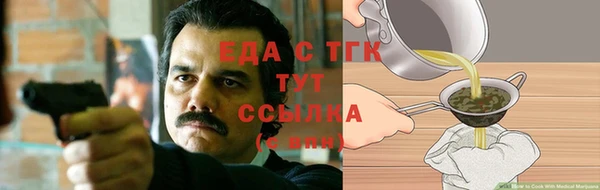 стаф Горняк