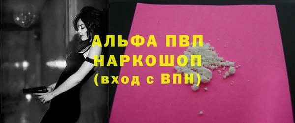 стаф Горняк