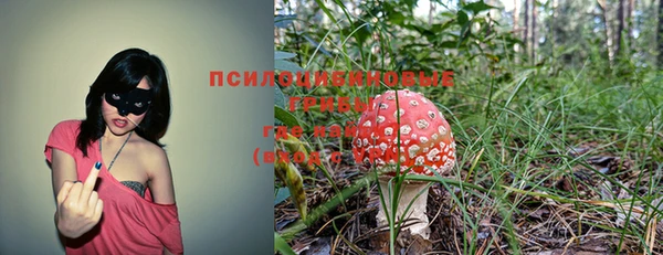 стаф Горняк