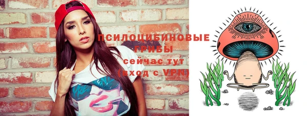 таблы Горнозаводск