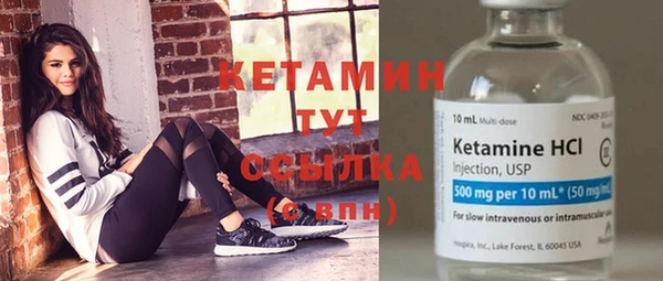 стаф Горняк