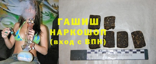 стаф Горняк
