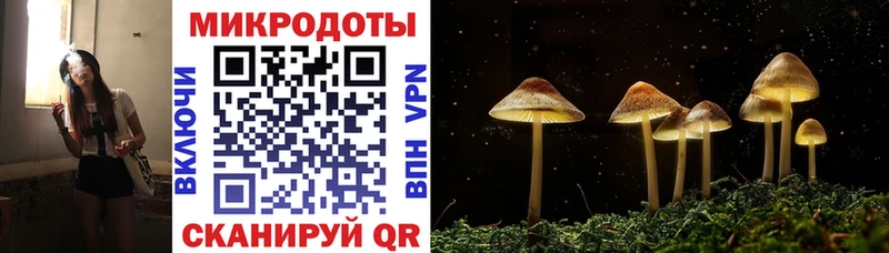 Купить закладки  Сальск  Псилоцибиновые грибы прущие грибы 